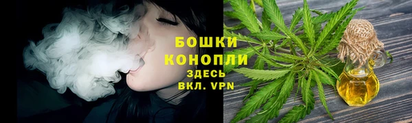 амф Аркадак
