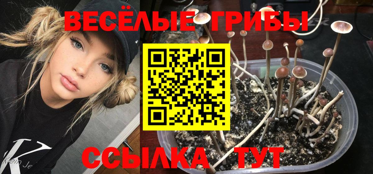 Псилоцибиновые грибы прущие грибы Городец