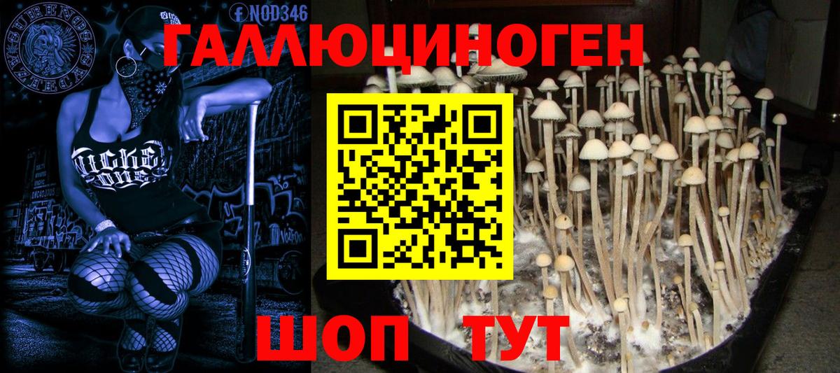 Псилоцибиновые грибы ЛСД  сколько стоит  Городец 