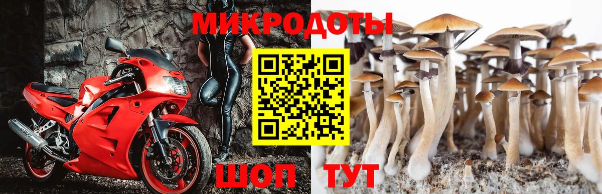 Городец  Псилоцибиновые грибы прущие грибы  Вход с VPN 