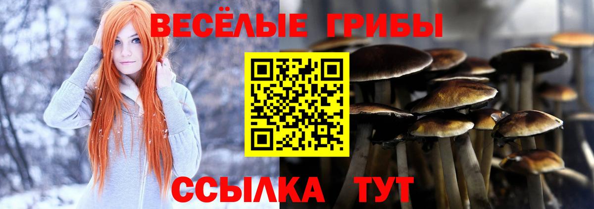 Городец  Псилоцибиновые грибы мицелий  Вход с VPN 