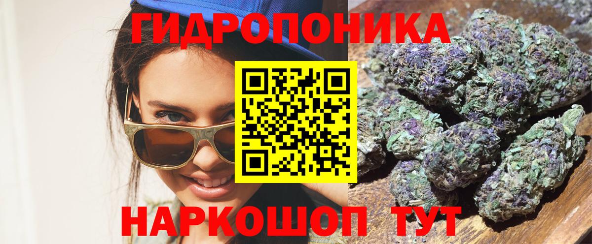 Канабис марихуана  Конопля сатива  Вход с VPN  МАРИХУАНА сатива  Городец 